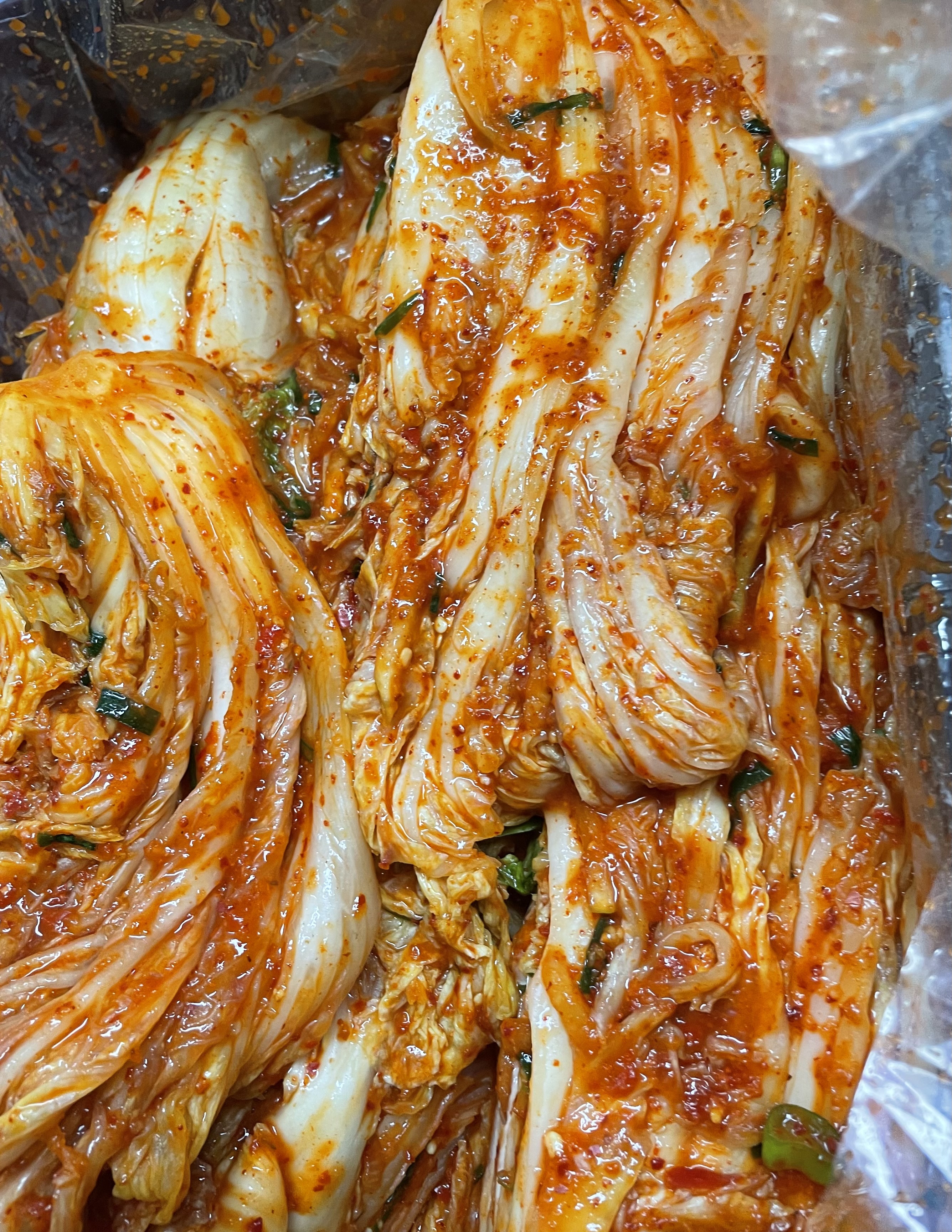첨부 사진