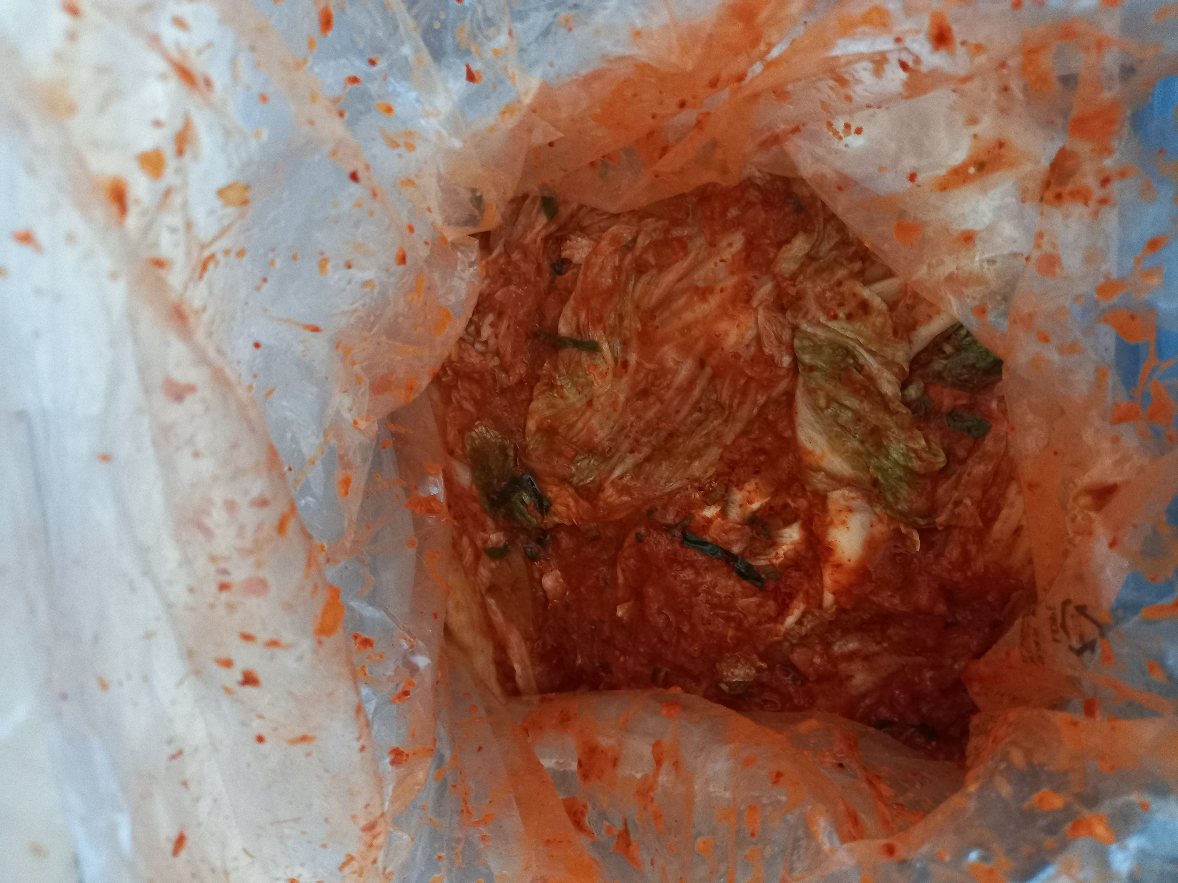 첨부 사진