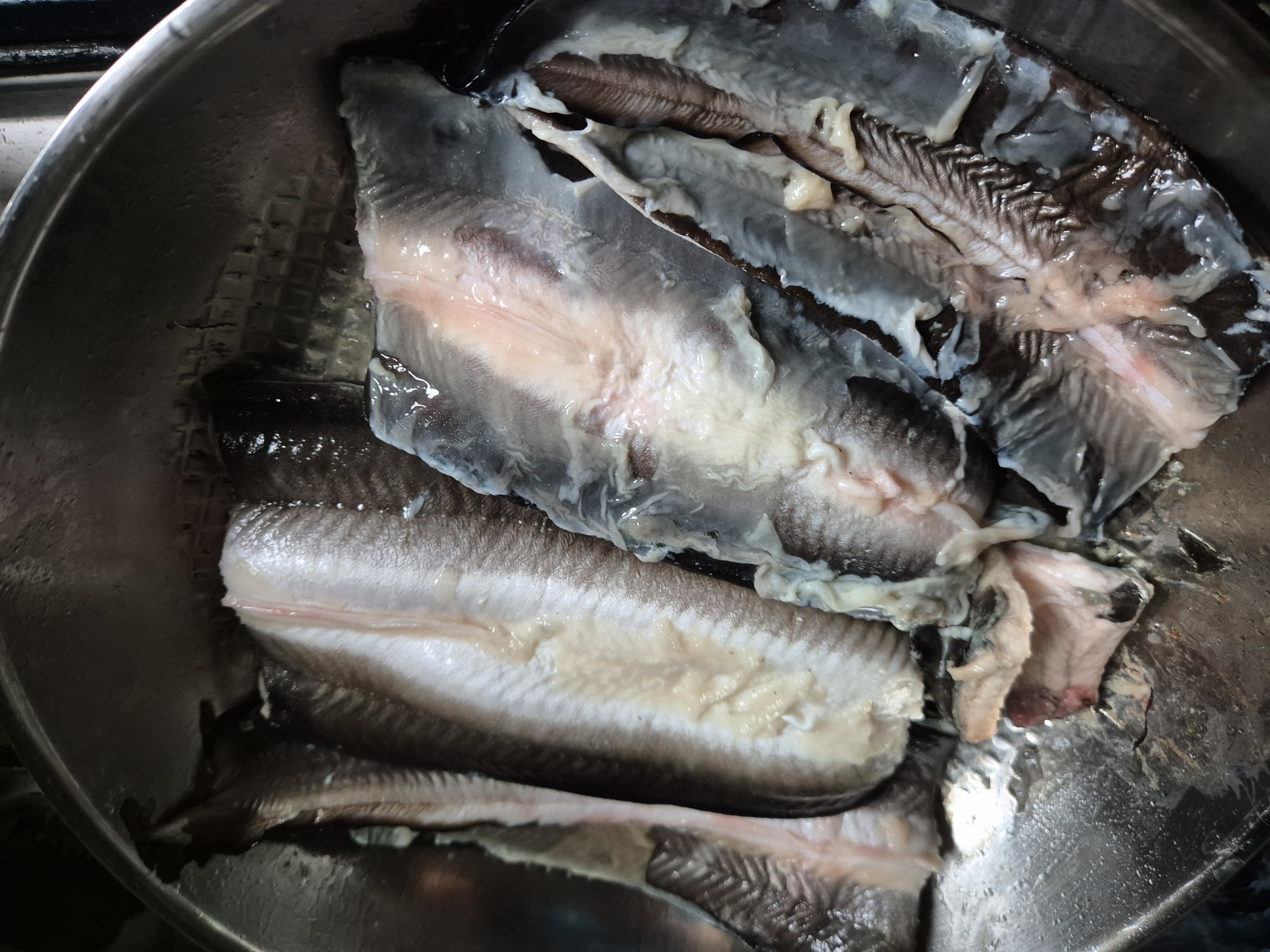 첨부 사진