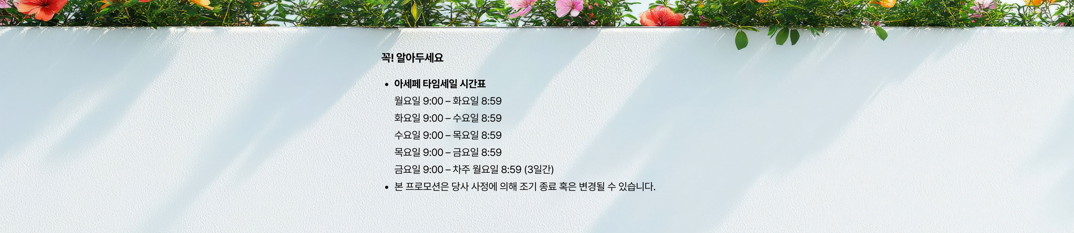 초특가 타임세일