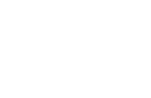 싱카이 real review
